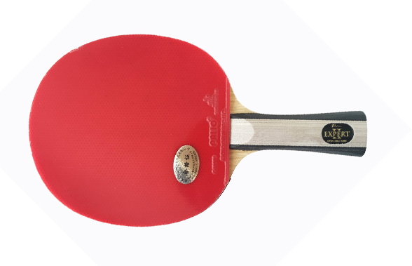Palio Expert 2 Ping Pong Paddle