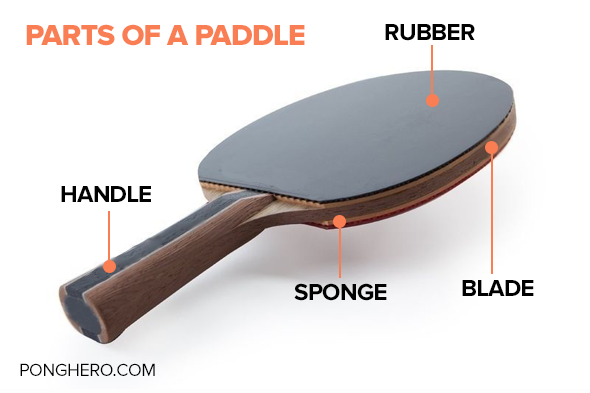 Parts of a Ping Pong Paddle